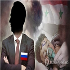 시리아,러시아,정부군,화학무기,참사,진상조사