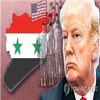 시리아,러시아,공습,트럼프,대통령,미국,군함,화학무기,공격,동맹국