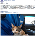 고양이,학대,케어