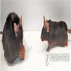 마리화나,보관,창고