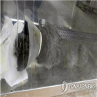 애견센터,슈나우저,둔기