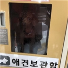 강아지,애견보관함,방치,견주,보관함,마트