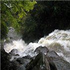 제주,산지,지역