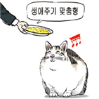 고양이,사료,판매,로얄캐닌,제품,반려동물