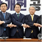 개헌,국회,개헌연대,야3,정쟁