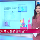 러시아,정상회담,일본,북한,평화,남북,대통령,반응