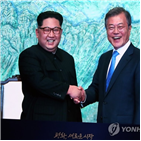 비핵화,정상,선언,한반도,남북,외신