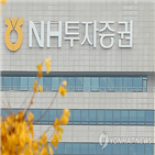 발행어음,초대형,단기금융업,투자증권,지난해,인가,사업,심사