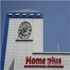 홈플러스,매각,매장,설립,리츠펀드