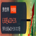 창구,셀바스헬스케어