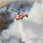 발생,산불,기간,피해면적