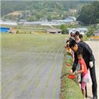 우렁이,남해군