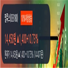 전일,거래량,필룩스,거래,상위