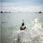 수영,태평양,도전,르콩트,매일