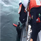 표류,구조,스쿠버다이버