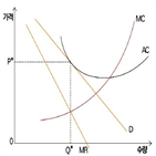 독점,제품,소비자,시장,기업,경쟁시장,존재