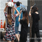 강원,제주,15.6,남해안