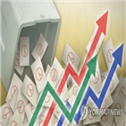 투표율,지방선거,선관위,선거,예상,이번