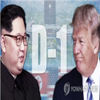 북한,트럼프,비핵화,대통령,요구,가능성,검증,북미,김정은,목표