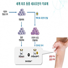 연장,국내,관절염,치료제,최대