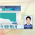 코스닥,하락세,지수,외국인,시장