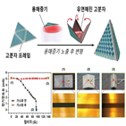 전자소자,연구팀,방향,이미지센서