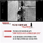 여고생,실종,경찰,친구,용의자