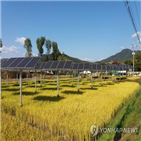 태양광,한국남동발전,사업,지역,농업