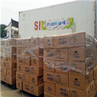 양배추,일본,수출