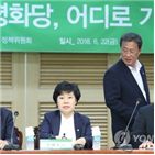 평화당,의원,정동영,지방선거,개혁노선,지도부