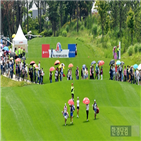 주식,레이디스컵