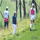 주식,레이디스컵,한경