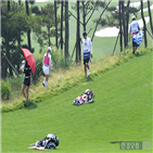 주식,비씨카드,한경