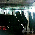 조폭,경찰,각종,검거,불법행위,범죄,이상