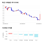 종목,점수,투자,로체시스템즈,측면,기업