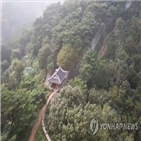 자전거,운행,적발