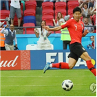 브라질,한국,월드컵,축구팬