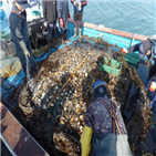 지원,가로림만,어류,어가