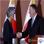 한미,비핵화,외교수장