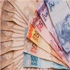 헤알화,지수,보베스파,하락,상반기,환율