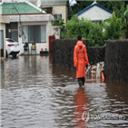 제주,남부,태풍,산지