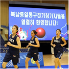 하나,평양,박혜진,남북,통일농구