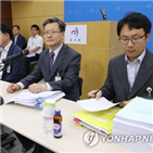 4대강,사업,감사