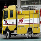 전기,레인지,고양이