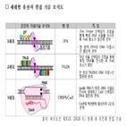 유전자,기술,출원,편집,개발,관련,바이오