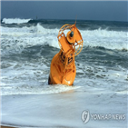 동해안,파도,영향