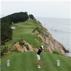 티샷,조정민,기업