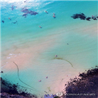 여행지,해외,여행객,인기,국내