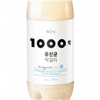 막걸리,유산균,국순당,1000억,소비자