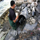 하수관로,노후,정비,보수